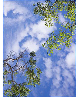sky image 6bc