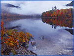 Maine scene 6fq