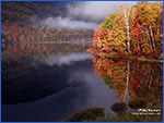 Maine scene 6fx