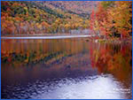 Maine scene 6fz