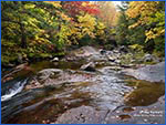 Maine scene 6ic