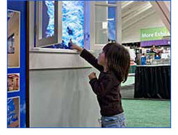 Sky Factory tradeshow illustration