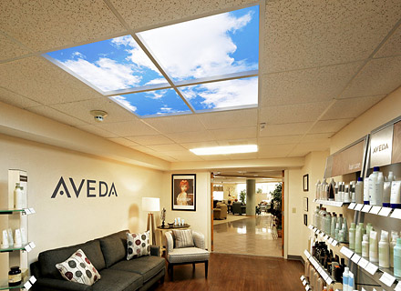 Aveda Bee Hive Salon