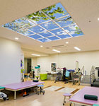 Dokkyo Medical university