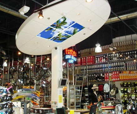 Magasin de surf et skate