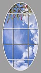 Ceiling Mural 6cc_5ftx9ftmdel