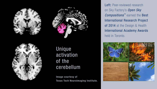 Image of brain activation caused by Open Sky Compositions
