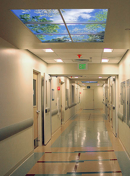 Centre médical UCSF