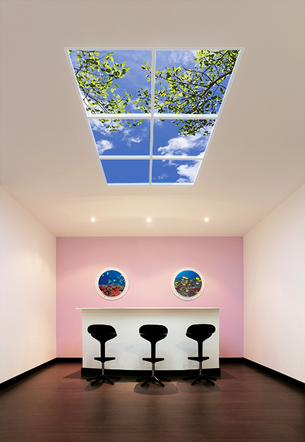 Spanish Showroom