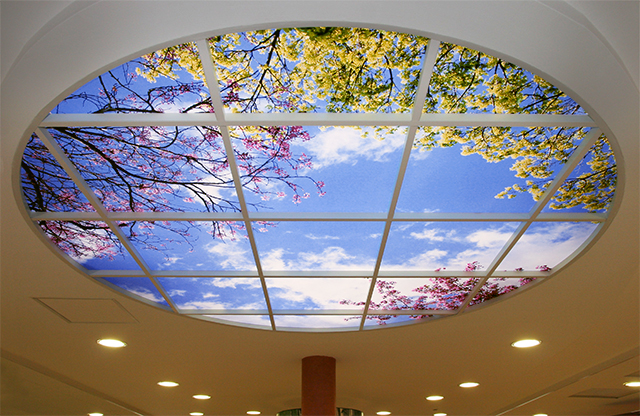 Eldercare St. Joseph