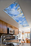 Grant Kitchen