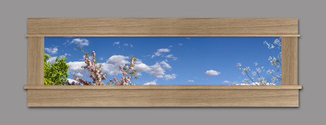 Photo Mural 6tt_63x18md_AC1_White-Oak