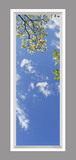 Ceiling Mural 6am01_2x6md_r26