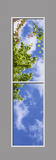 Ceiling Mural 6cd_2x8md01_24vr