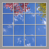 Ceiling Design 6cv_8x8md