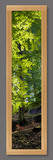 Photo Mural 6nz_24x96cr_rustic