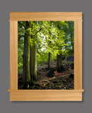 Photo Mural 6nz_34x40AC1white_oak