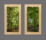 Photo Mural 6paL_2-22x40_rustic_maple