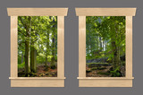 Photo Mural 6pa_2-28x40crvr01_AC2_Maple