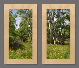 Photo Mural 6tzL_2-22x40crvr_rustic_maple