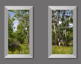 Photo Mural 6tz_2-22x40mdsp-01_Aluminum