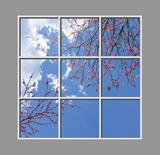 Ceiling Mural 8az_6x6md