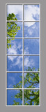 Ceiling Mural 8bg_4x12md