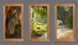 Photo Mural 8fkL_3-22x40cr_rustic_red_oak