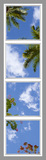 Ceiling Mural 8fs_4x16_r44