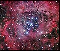 Star Ceiling se-rg026 de Robert Gendler