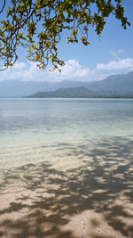 Milieu de journée tropicale à la plage et à l