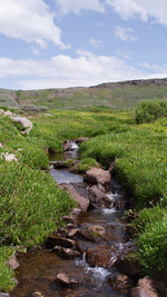 Ruisseau alpin en été