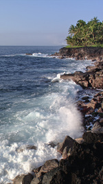 Surf tropical à Hawaï 