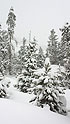 Tempête de neige l'après midi